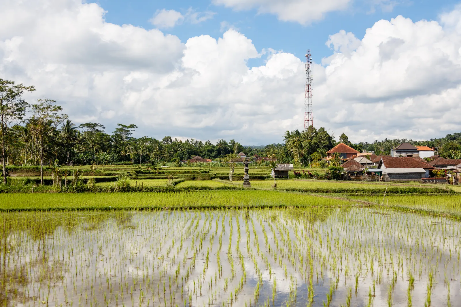 Bali travel eSIM coverage in Gianyar