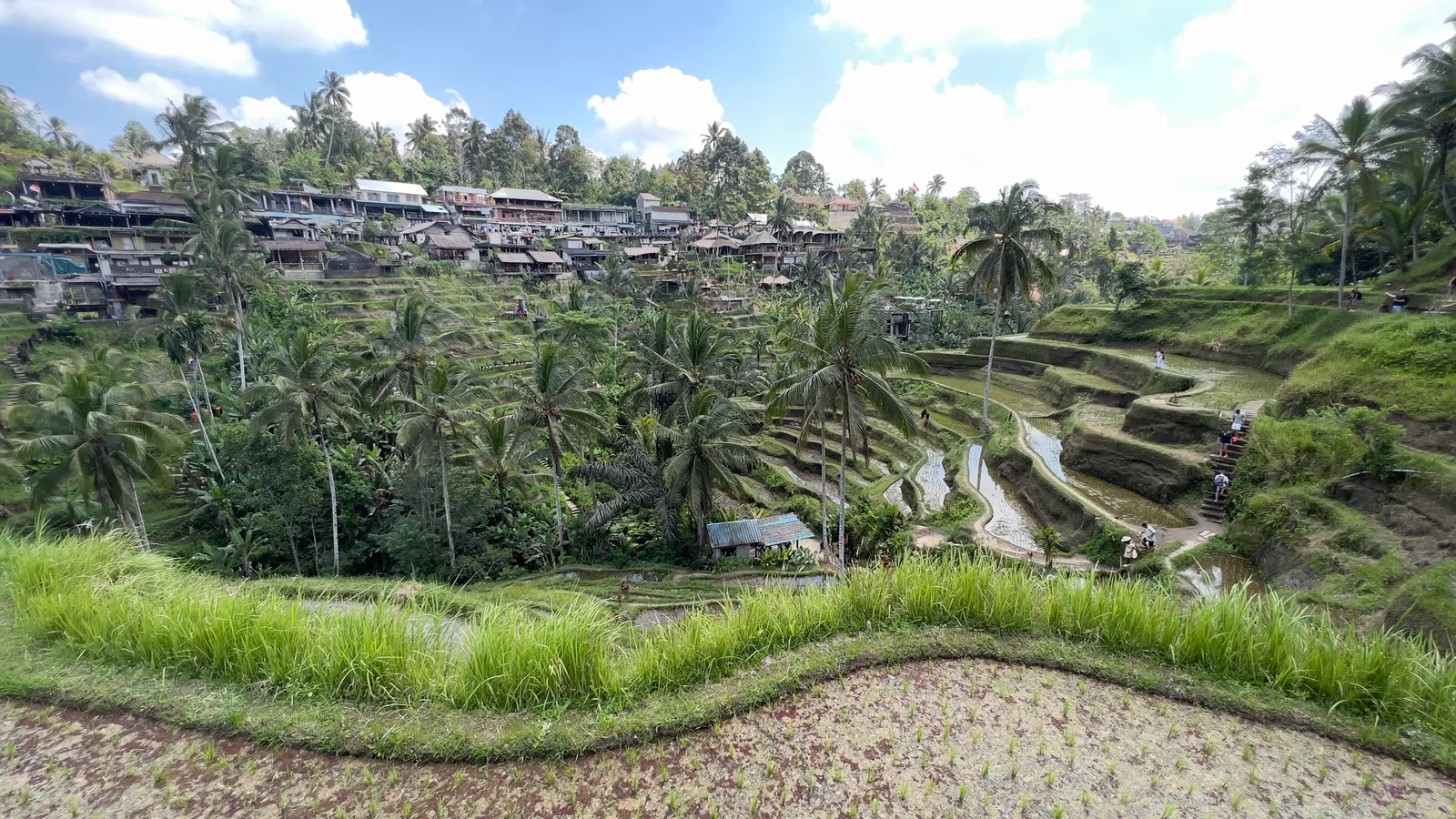 Bali travel eSIM coverage in Ubud